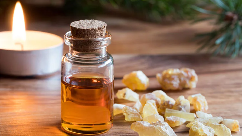 Uleiul esential de tamaie