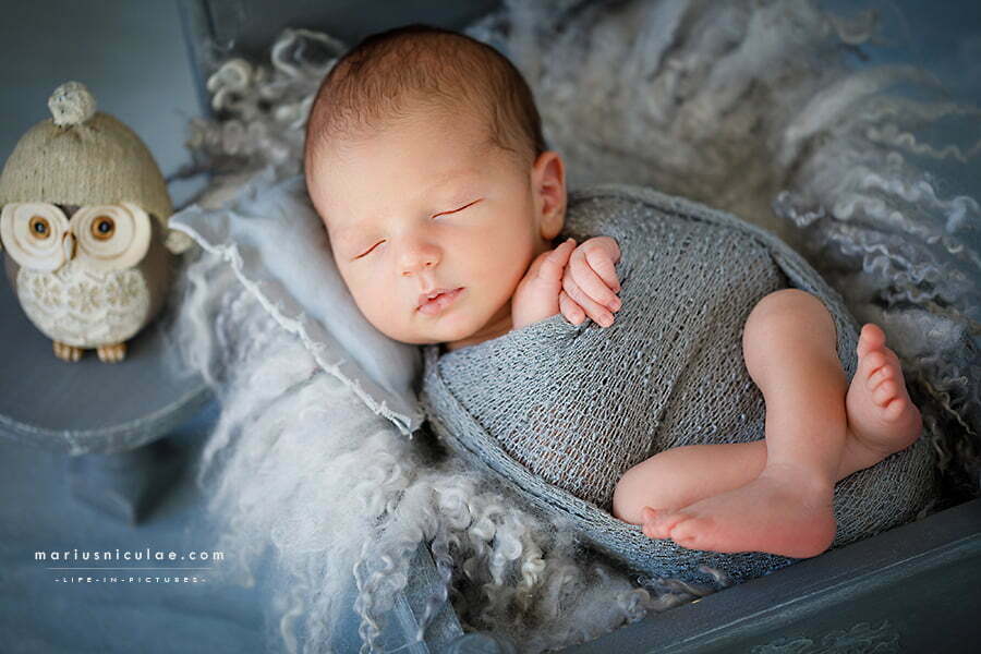 sedinta foto nou nascuti pret