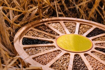 diferite tipuri de seminte