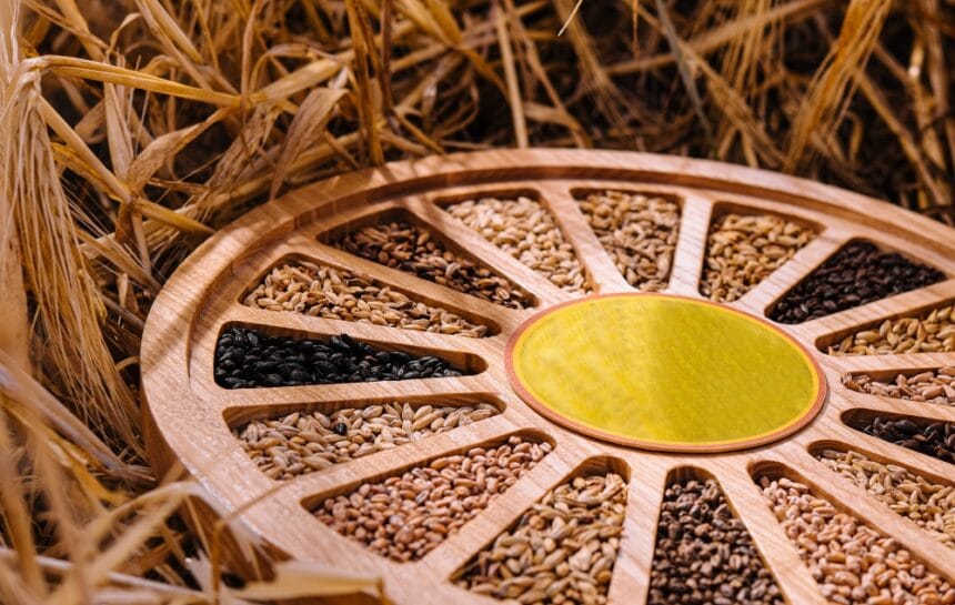 diferite tipuri de seminte